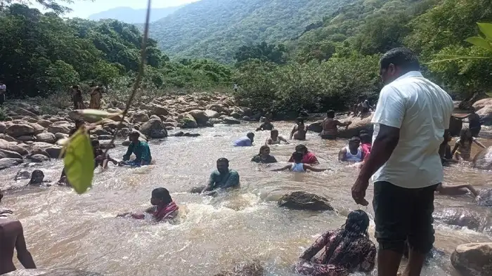 புளியஞ்சோலைக்கு படையெடுக்கும் மக்கள்!
