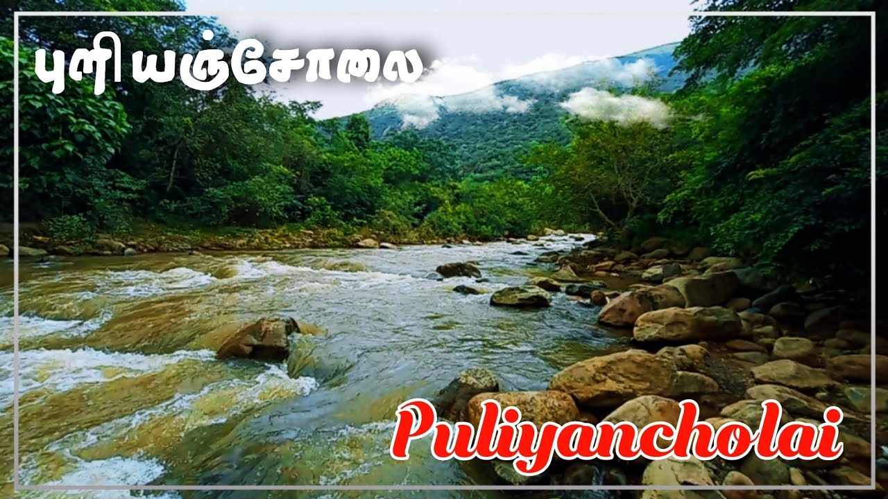 சுற்றுலா தலமான புளியஞ்சோலைக்கு செல்லும் சாலையானது விரிவாக்கம் செய்யப்பட இருப்பதாக அதிகாரிகள் தகவல்